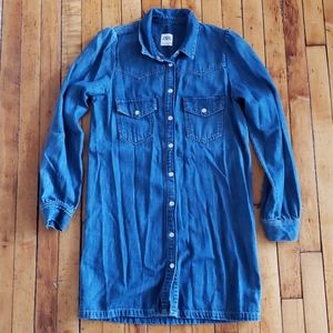 Zara Denim Dress